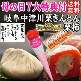 遅れてごめんね 母の日【送料無料】栗きんとん5個・栗柿5個入り プレゼント 和菓子 花とスイーツ 以外 ギフト 造花のカーネーション ＆ 選べるメッセージーカード ＆ 風呂敷ラッピング