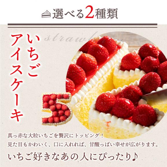 誕生日ケーキ バースデーケーキ  アイス数字ケーキ　冷凍配送04