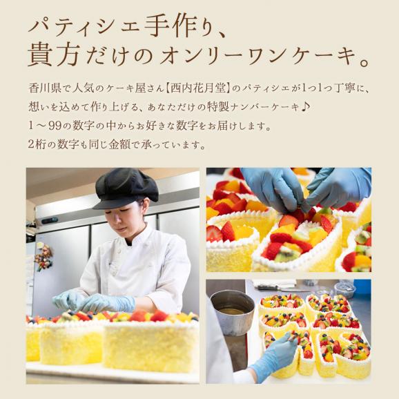 誕生日ケーキ バースデーケーキ  数字ケーキ　冷凍配送04