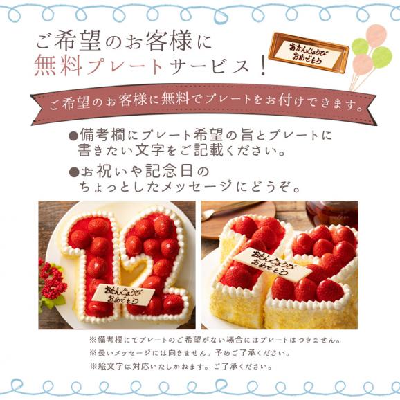 誕生日ケーキ バースデーケーキ  数字ケーキ　冷凍配送05