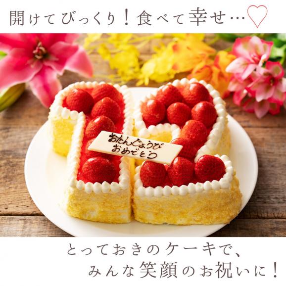 誕生日ケーキ バースデーケーキ  数字ケーキ　冷凍配送06