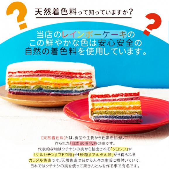 誕生日ケーキ バースデーケーキ  レインボーケーキ 5号 アメリカ発 カラフルケーキ05