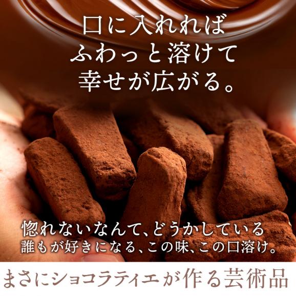 【チョコ今季販売終了】 チョコレート 訳あり 割れチョコ  スイーツ レア割れチョコ ジャンドゥーヤ 400g(200g×2) 割れチョコレート 03