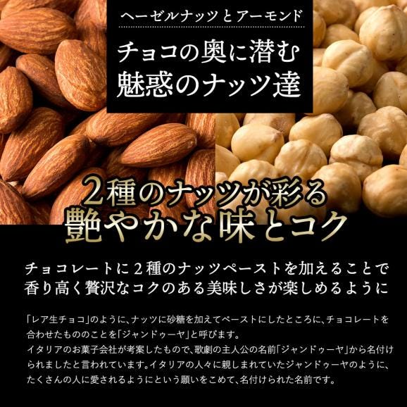 【チョコ今季販売終了】 チョコレート 訳あり 割れチョコ  スイーツ レア割れチョコ ジャンドゥーヤ 400g(200g×2) 割れチョコレート 04