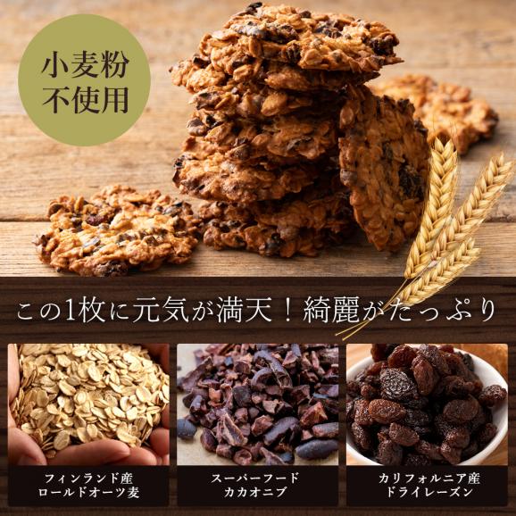 オートミールシリアルクッキー お試し16枚 割れあり ざぐざぐ食感 スイーツ お試し プチギフト 焼き菓子 お取り寄せスイーツ わけあり 割れ03