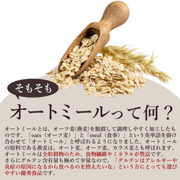 オートミールシリアルクッキー お試し16枚 割れあり ざぐざぐ食感 スイーツ お試し プチギフト 焼き菓子 お取り寄せスイーツ わけあり 割れ04