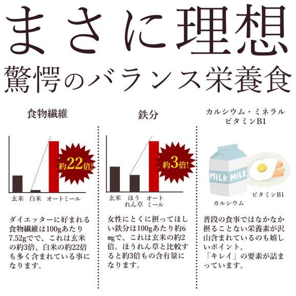 オートミールシリアルクッキー お試し16枚 割れあり ざぐざぐ食感 スイーツ お試し プチギフト 焼き菓子 お取り寄せスイーツ わけあり 割れ06