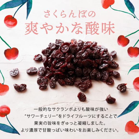 ドライフルーツ ドライサワーチェリー500g ドライチェリー さくらんぼ  [ 送料無料  トルコ産  大容量 お徳用 業務用 お取り寄せ  ドライフルーツ  製菓 おやつ お菓子作り チェリー フル02