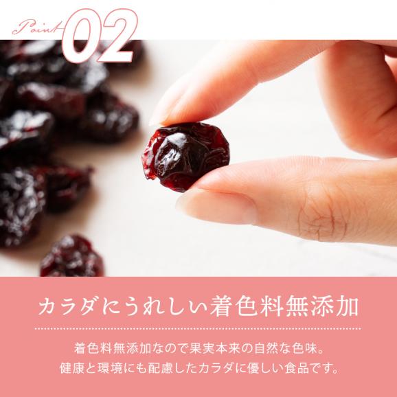 ドライフルーツ ドライサワーチェリー500g ドライチェリー さくらんぼ  [ 送料無料  トルコ産  大容量 お徳用 業務用 お取り寄せ  ドライフルーツ  製菓 おやつ お菓子作り チェリー フル06
