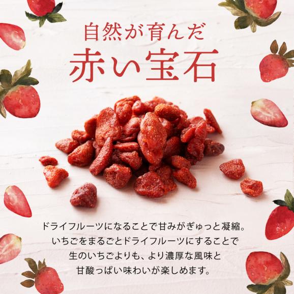 【2025正規激安】 ドライフルーツ ドライストロベリー いちご ドライ 肉厚 500g テープ・マスキングテープ