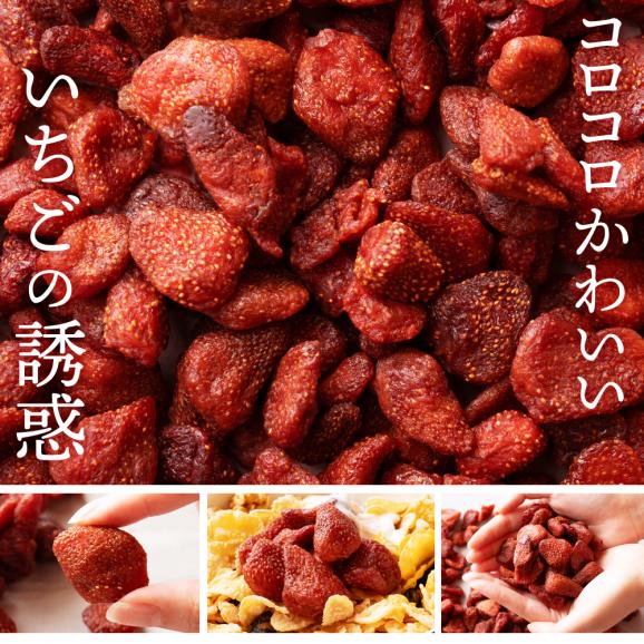 ドライフルーツ ドライストロベリー 500g 肉厚 ドライ いちご ストロベリー  送料無料  トルコ産  大容量 お徳用 業務用 お取り寄せ  ドライフルーツ フルーツ 製菓 おやつ お菓子作り03