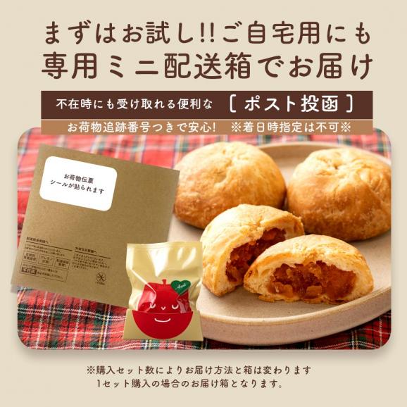 スイーツ 送料無料 選べる 禁断の果実 お試し 3個入り [りんごの実/チーズの実] [ 小分け 個包装 パイ アップルパイ お菓子 プチギフト かわいい お返し お取り寄せスイーツ 焼き菓子 ]04