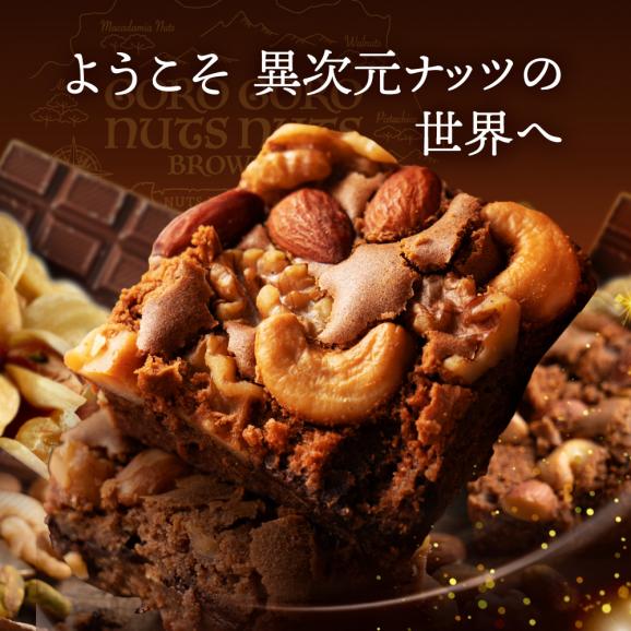 スイーツ 送料無料 ブラウニー【ようこそ異次元ナッツの世界へ】贅沢ナッツ ごろごろ ナッツナッツブラウニー 2個セット [ 詰め合わせ 焼き菓子 かわいい プチギフト ] 02