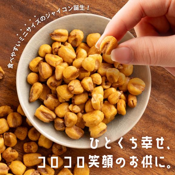 送料無料 ジャイアントコーン 250g 全6種類から選べる コロコンズ [ ポイント消化 ジャイコン トウモロコシ スナック お試し おやつ おつまみ お取り寄せ 子供 ナッツ ビール ミニジャイコン02