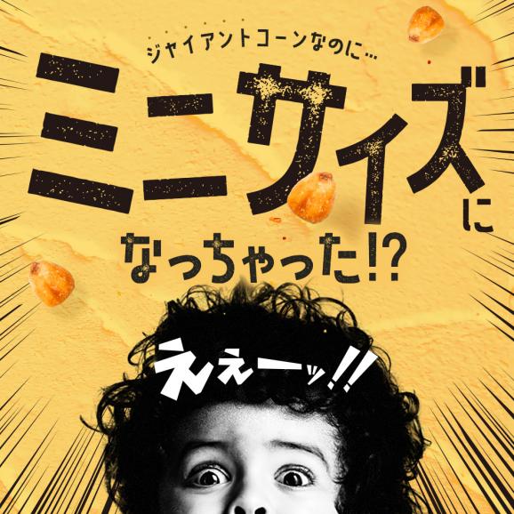 送料無料 ジャイアントコーン 500g 全6種類から選べる コロコンズ [ ポイント消化 ジャイコン トウモロコシ スナック お試し おやつ おつまみ お取り寄せ 子供 ナッツ ビール ミニジャイコン05