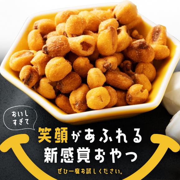 送料無料 ジャイアントコーン 6袋 合計1.5kg (250g×6) 全6種類から選べる コロコンズ ポイント消化 ジャイコン トウモロコシ スナック おやつ おつまみ お取り寄せ 子供06