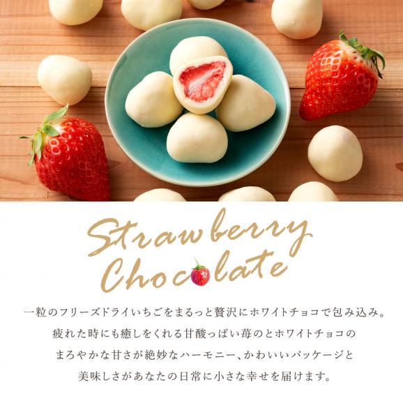 ＼可愛くなって再登場／ チョコレート まるごと苺チョコレート 15粒入り [ スイーツ チョコ ストロベリー 苺 まるごと ホワイトチョコ いちご スイーツ  贈り物 お返し ]04