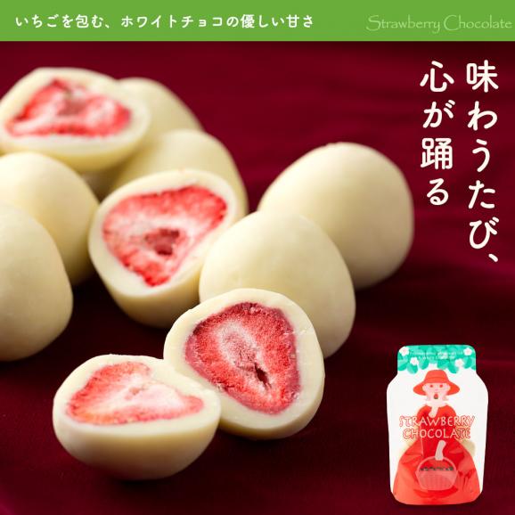 ＼可愛くなって再登場／ チョコレート まるごと苺チョコレート 15粒入り [ スイーツ チョコ ストロベリー 苺 まるごと ホワイトチョコ いちご スイーツ  贈り物 お返し ]06