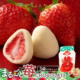 ＼可愛くなって再登場／ チョコレート まるごと苺チョコレート 3袋セット (1袋あたり15粒入 [ スイーツ チョコ ストロベリー 苺 まるごと ホワイトチョコ いちご スイーツ  贈り物 お返し ]