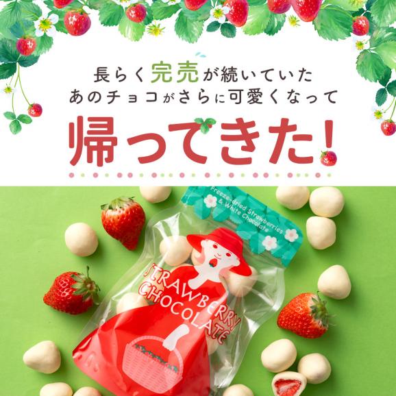 ＼可愛くなって再登場／ チョコレート まるごと苺チョコレート 3袋セット (1袋あたり15粒入 [ スイーツ チョコ ストロベリー 苺 まるごと ホワイトチョコ いちご スイーツ  贈り物 お返し ]02