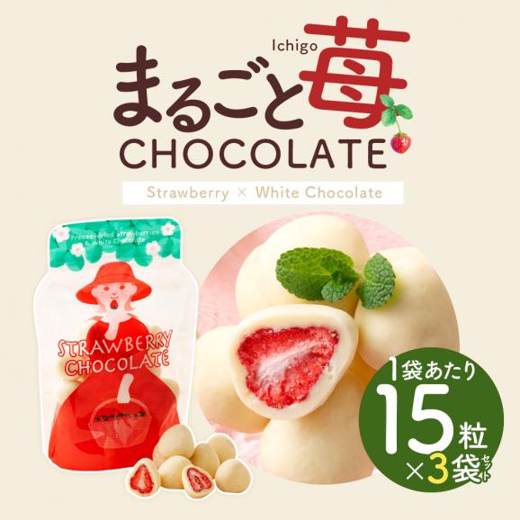 ＼可愛くなって再登場／ チョコレート まるごと苺チョコレート 3袋セット (1袋あたり15粒入 [ スイーツ チョコ ストロベリー 苺 まるごと ホワイトチョコ いちご スイーツ  贈り物 お返し ]03