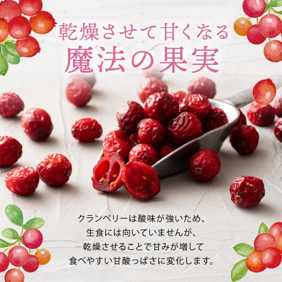 ドライフルーツ ドライクランベリー 700g クランベリー   [ 送料無料  ラトビア産  大容量 お徳用 業務用 お取り寄せ  ドライフルーツ  製菓 おやつ お菓子作り フルーツ 製菓材料 ]02