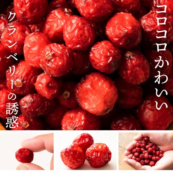 ドライフルーツ ドライクランベリー 700g クランベリー   [ 送料無料  ラトビア産  大容量 お徳用 業務用 お取り寄せ  ドライフルーツ  製菓 おやつ お菓子作り フルーツ 製菓材料 ]03