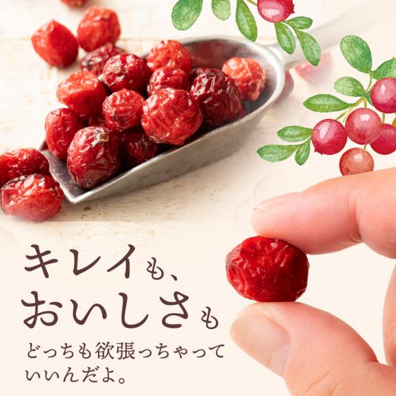 ドライフルーツ ドライクランベリー 700g クランベリー   [ 送料無料  ラトビア産  大容量 お徳用 業務用 お取り寄せ  ドライフルーツ  製菓 おやつ お菓子作り フルーツ 製菓材料 ]06