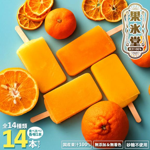 アイス 「果汁100%高級贅沢愛媛みかんのアイス! 果氷堂 全14種14本セット」02