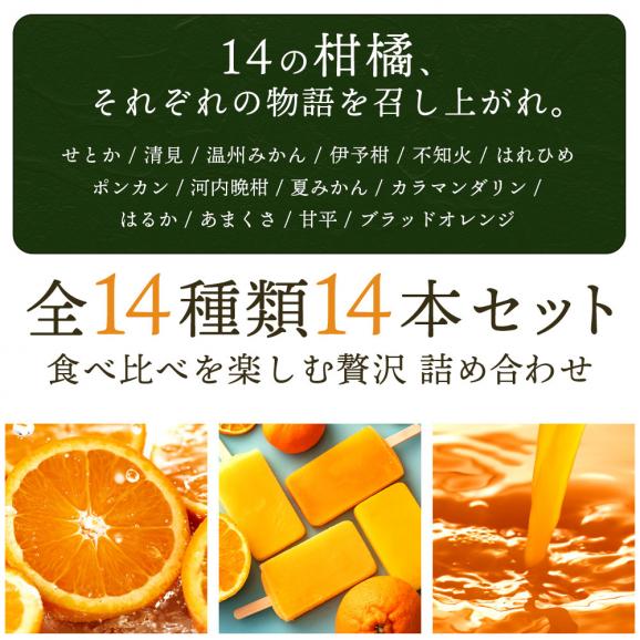 アイス 「果汁100%高級贅沢愛媛みかんのアイス! 果氷堂 全14種14本セット」03