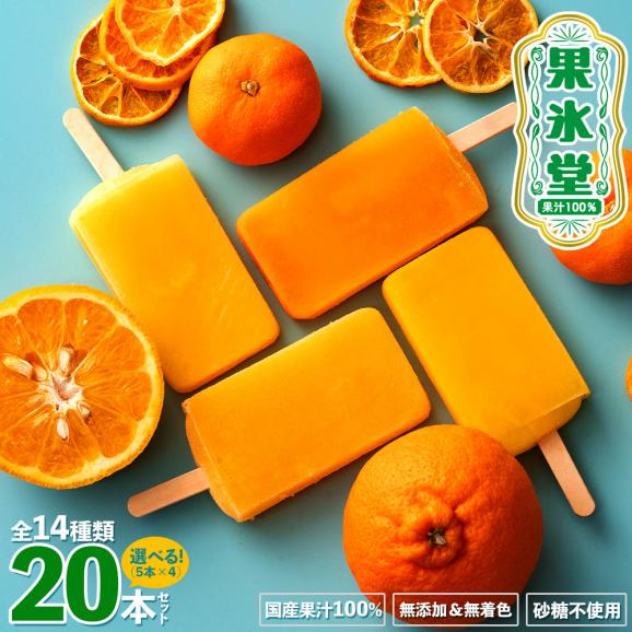 アイス 「果汁100%高級贅沢愛媛みかんのアイス! 果氷堂 全14種類から選べる20本セット(5本×4)」02