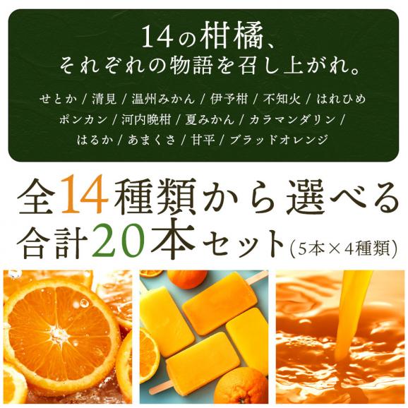 アイス 「果汁100%高級贅沢愛媛みかんのアイス! 果氷堂 全14種類から選べる20本セット(5本×4)」03