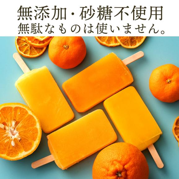 アイス 「果汁100%高級贅沢愛媛みかんのアイス! 果氷堂 全14種類から選べる20本セット(5本×4)」04