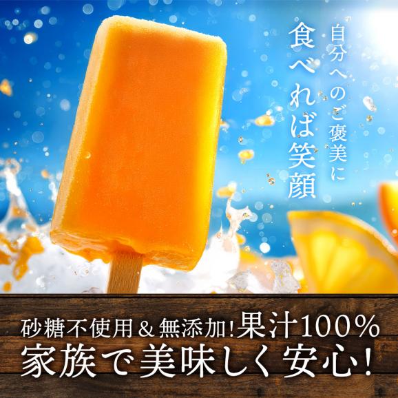アイス 「果汁100%高級贅沢愛媛みかんのアイス! 果氷堂 全14種類から選べる20本セット(5本×4)」06
