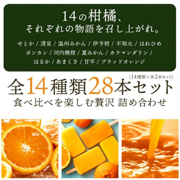 アイス 「果汁100%高級贅沢愛媛みかんのアイス! 果氷堂 全14種28本セット」03
