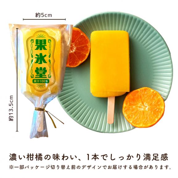 アイス 「果汁100%高級贅沢愛媛みかんのアイス! 果氷堂 全14種28本セット」05