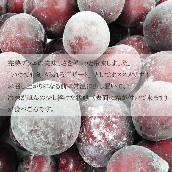 冷凍プラム5kg02