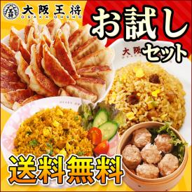 【大阪王将】送料無料！お試しセットVer.8【大阪王将の本格中華詰め合わせ】※北海道・沖縄は別途送料必要