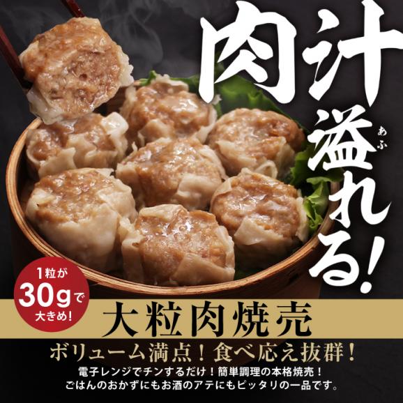 【大阪王将】送料無料！お試しセットVer.8【大阪王将の本格中華詰め合わせ】※北海道・沖縄は別途送料必要05