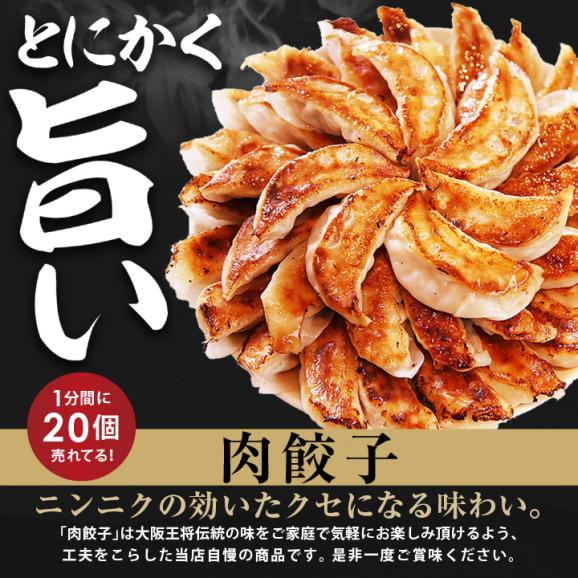 ［送料無料］大阪王将　餃子98個セット「羽根つき餃子12個入&times;4、肉餃子50個入&times;1」（たれ付き）02