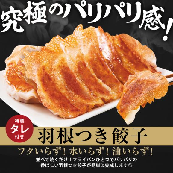 ［送料無料］大阪王将　餃子98個セット「羽根つき餃子12個入&times;4、肉餃子50個入&times;1」（たれ付き）03