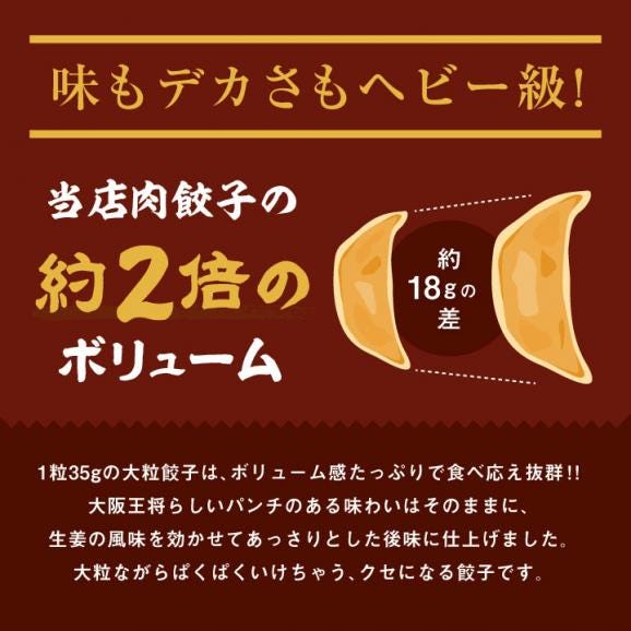 大阪王将 よくばり龍王餃子セット 1.05㎏(2袋 6人前)※北海道・沖縄は別途送料必要04