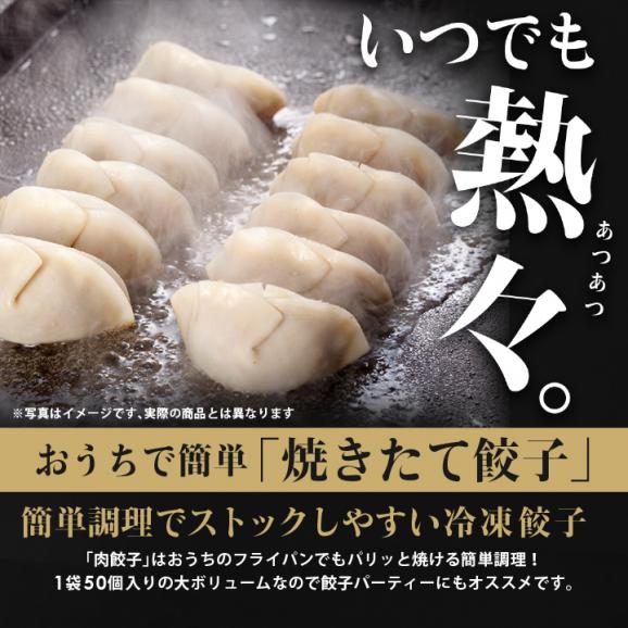 大阪王将 肉餃子200個セット(50個入&times;4袋) たれ&times;24袋付 送料無料04