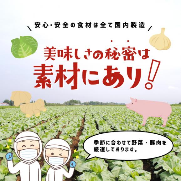 大阪王将 肉餃子200個セット(50個入×4袋) たれ×24袋付 送料無料04