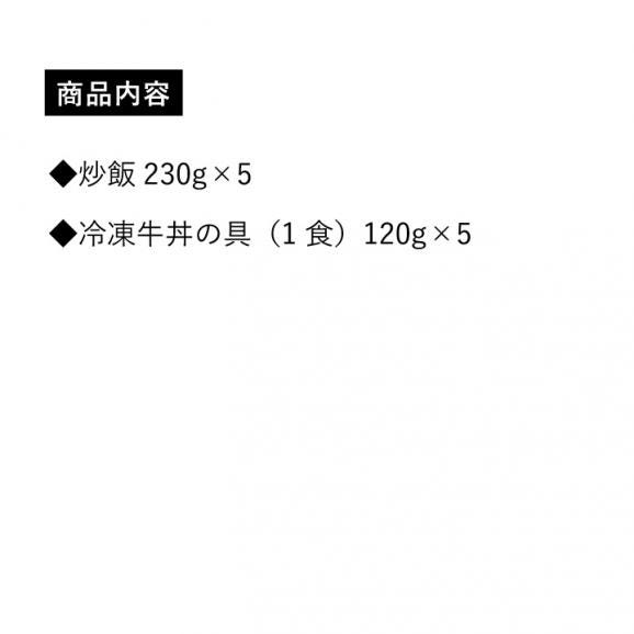 吉野家×大阪王将【送料無料】吉野家牛丼5食+大阪王将炒め炒飯5食セット※北海道・沖縄は別途送料必要02