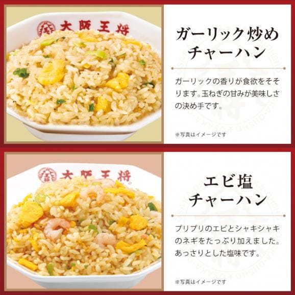 リンガーハット×大阪王将 麺＆チャーハン詰め合わせセット(合計10食)※北海道・沖縄は別途送料必要06