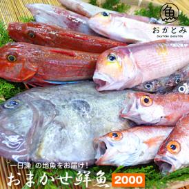 【一日漁】春・秋のおまかせ鮮魚2.000円（送料別途）※画像はイメージです。