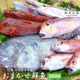 【一日漁】春・秋のおまかせ鮮魚3.000円（送料別途）※画像はイメージです。