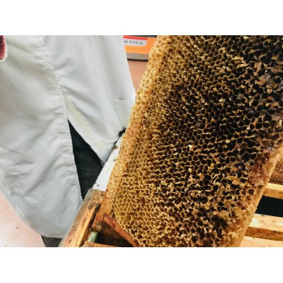 オラヤミエクリーム蜂蜜(エリカ）450g02