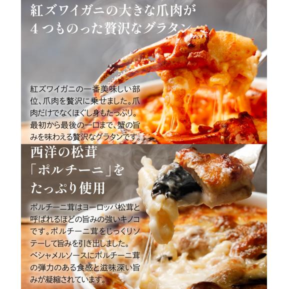俺のフレンチ　グラタンセット5食セット<送料無料>04